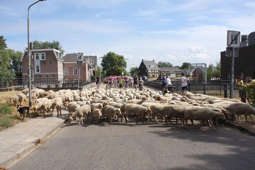 B&B Appartementen Smedery Nijmegen Zewnętrze zdjęcie
